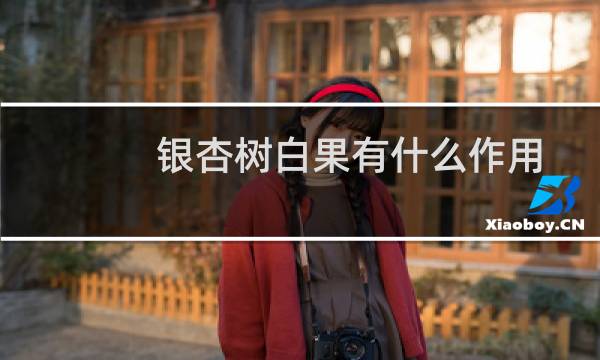 银杏树白果有什么作用