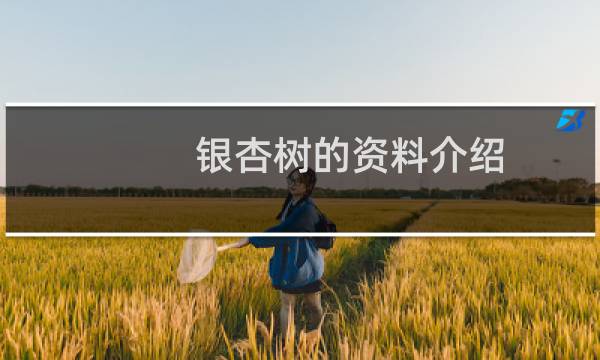 银杏树的资料介绍