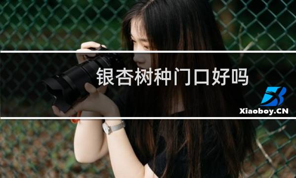 银杏树种门口好吗