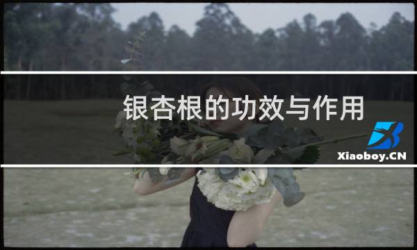 银杏根的功效与作用