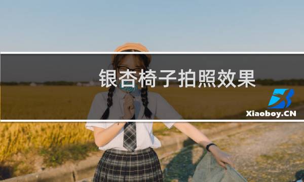 银杏椅子拍照效果