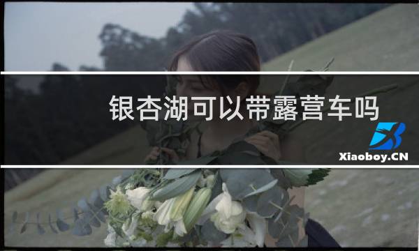 银杏湖可以带露营车吗
