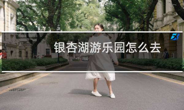 银杏湖游乐园怎么去