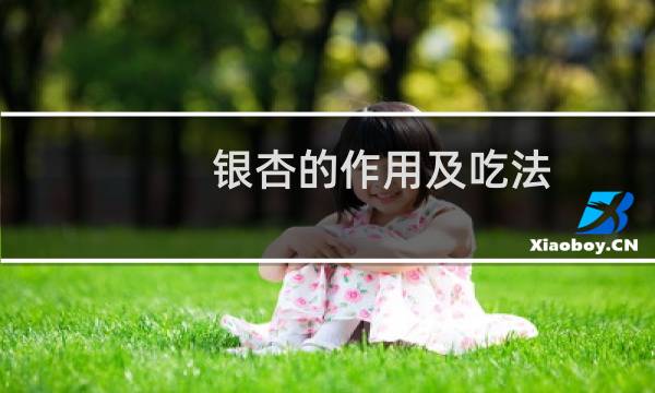 银杏的作用及吃法