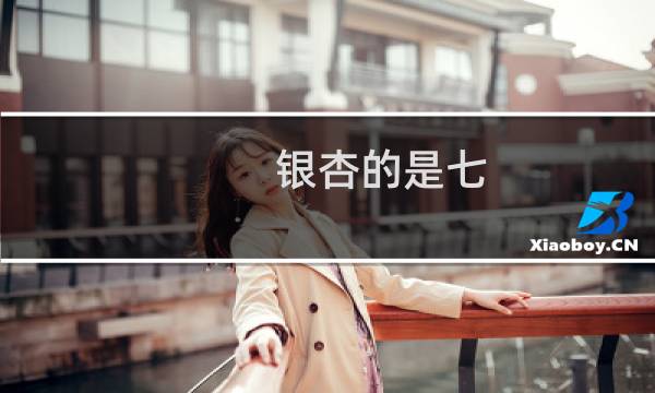 银杏的是七
