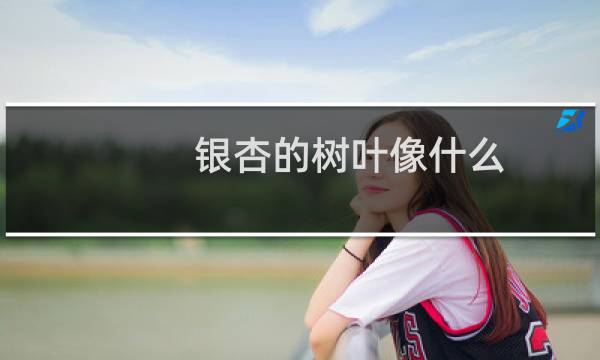银杏的树叶像什么