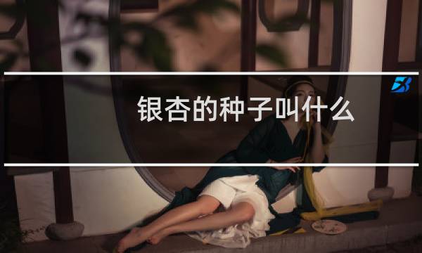 银杏的种子叫什么