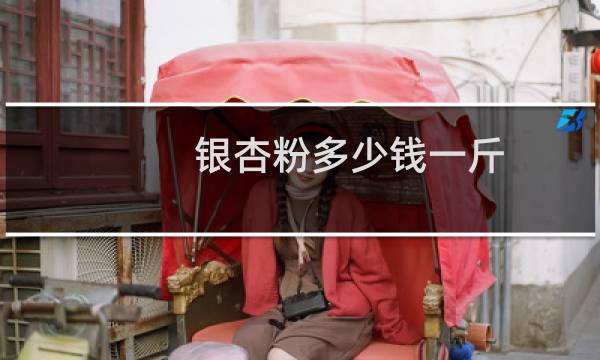 银杏粉多少钱一斤