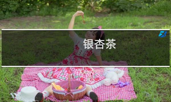 银杏茶 功效