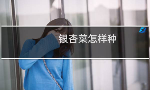 银杏菜怎样种