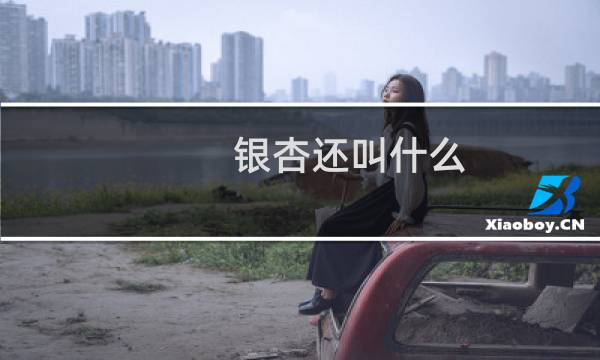 银杏还叫什么