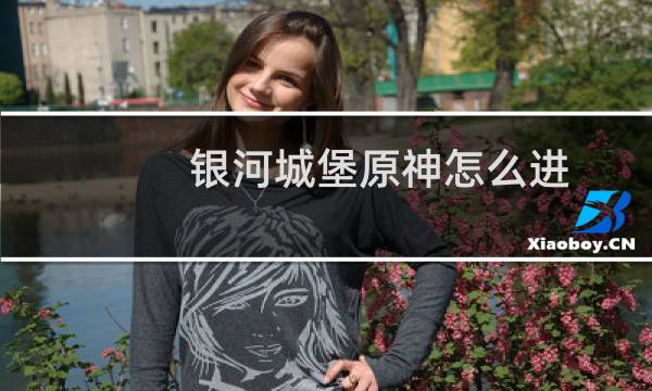 银河城堡原神怎么进