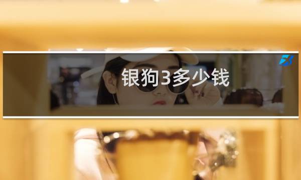 银狗3多少钱