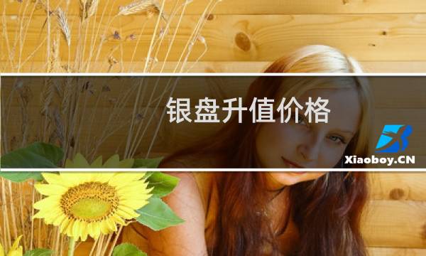 银盘升值价格