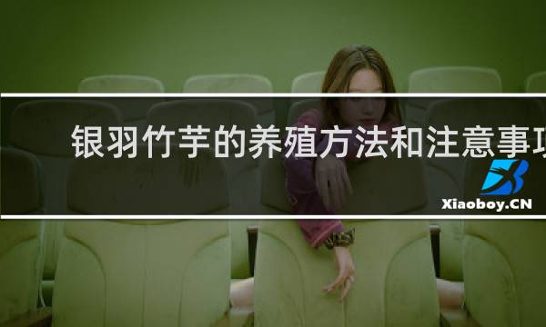 银羽竹芋的养殖方法和注意事项