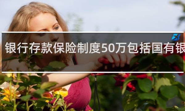银行存款保险制度50万包括国有银行吗