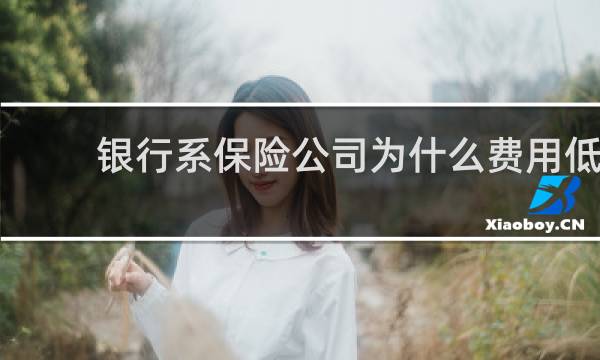 银行系保险公司为什么费用低