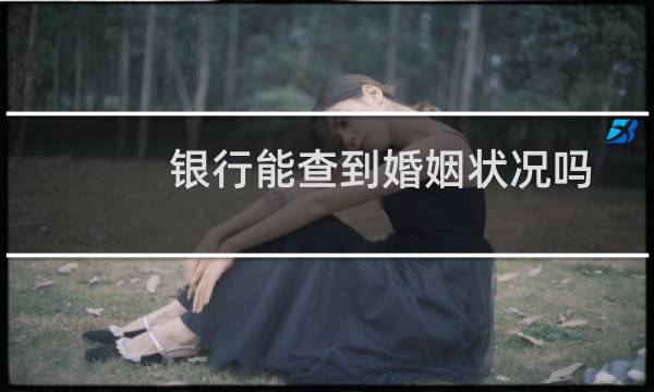 银行能查到婚姻状况吗