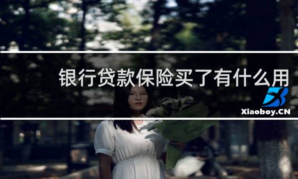 银行贷款保险买了有什么用