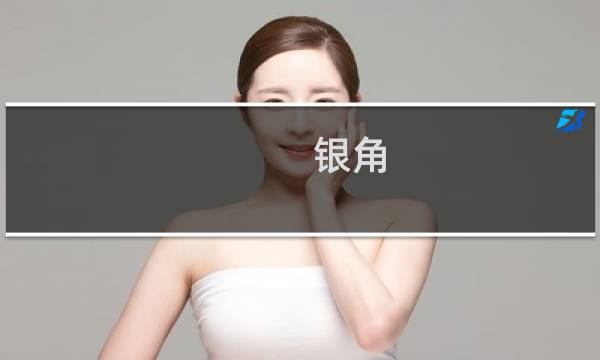 银角 攻略