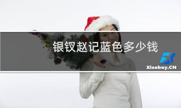 银钗赵记蓝色多少钱