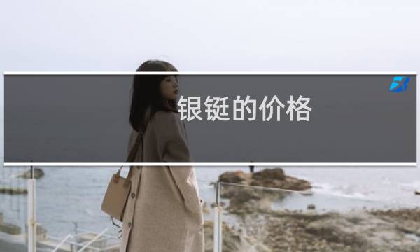 银铤的价格