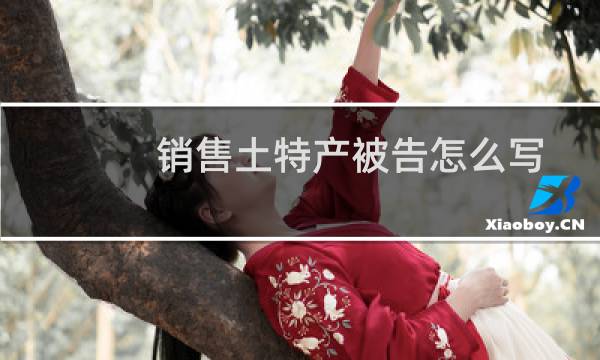 销售土特产被告怎么写