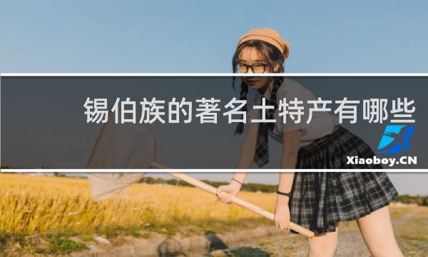 锡伯族的著名土特产有哪些
