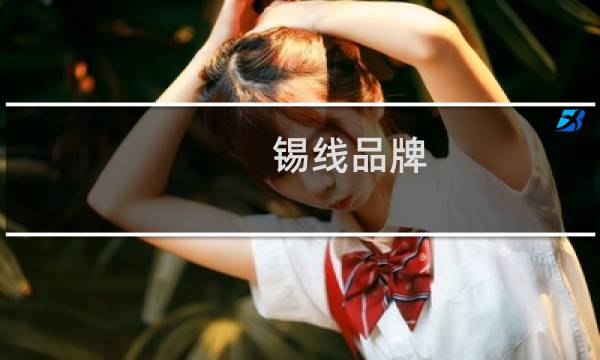 锡线品牌