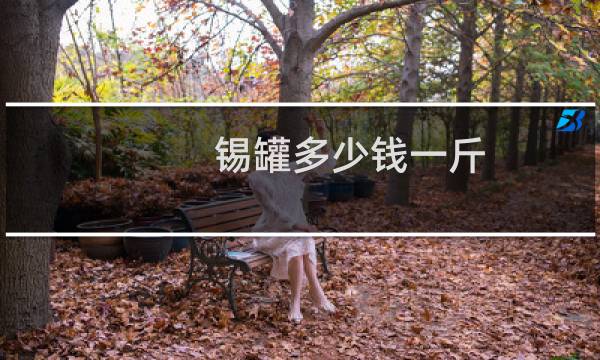 锡罐多少钱一斤