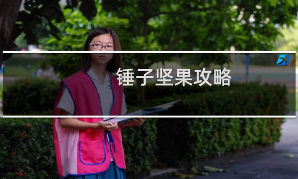 锤子坚果攻略