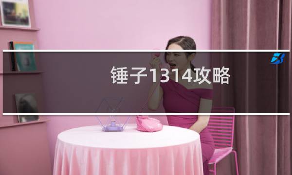 锤子1314攻略