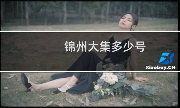 锦州大集多少号
