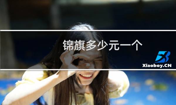 锦旗多少元一个