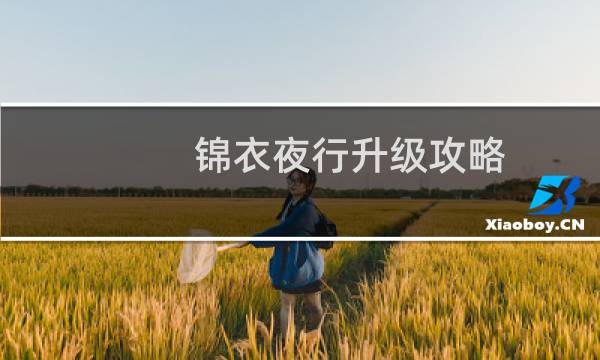 锦衣夜行升级攻略