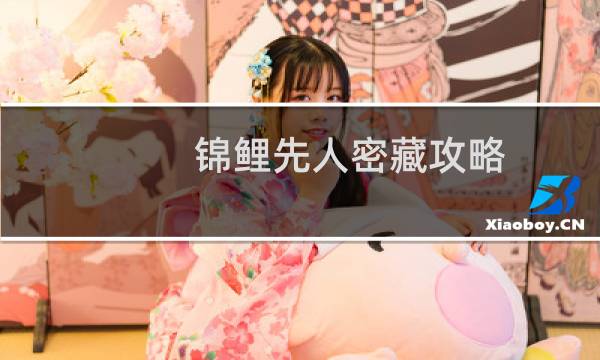 锦鲤先人密藏攻略