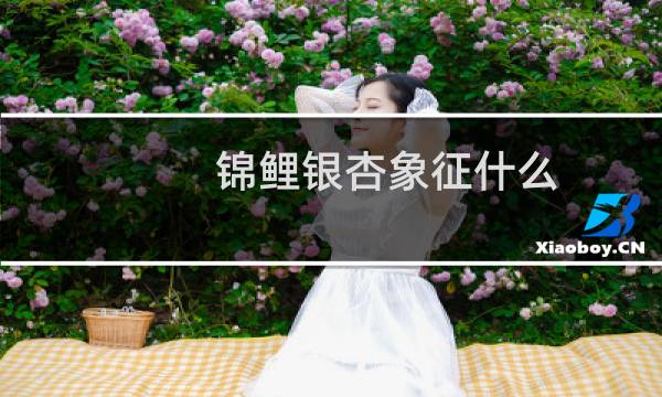 锦鲤银杏象征什么