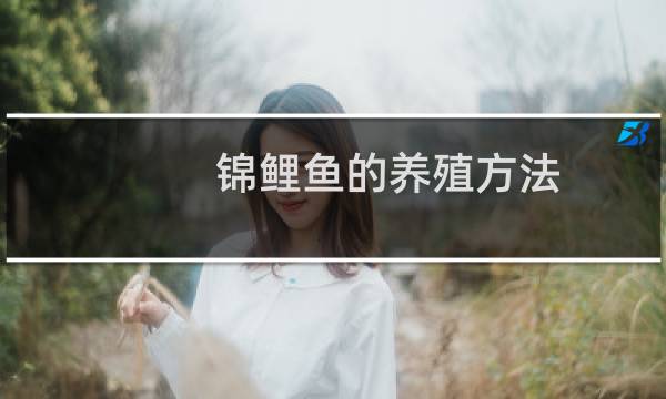 锦鲤鱼的养殖方法