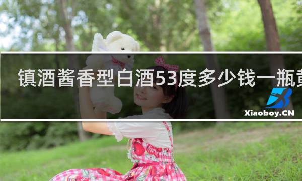 镇酒酱香型白酒53度多少钱一瓶黄瓶