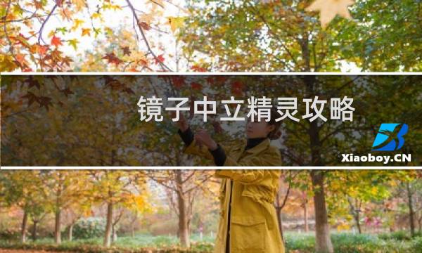 镜子中立精灵攻略