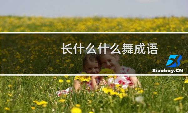 长什么什么舞成语