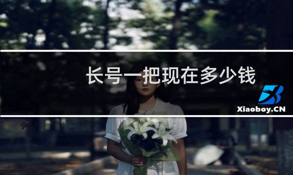 长号一把现在多少钱