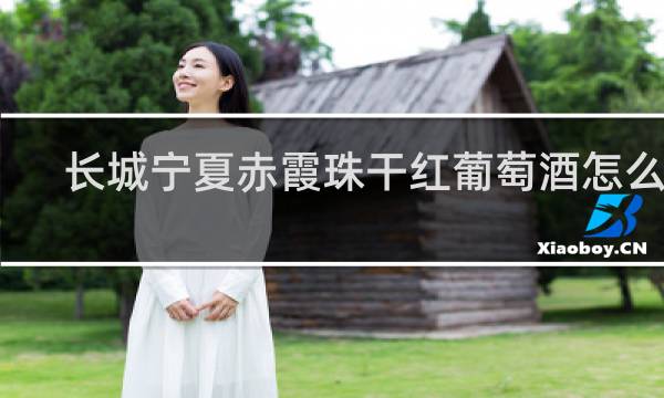 长城宁夏赤霞珠干红葡萄酒怎么样