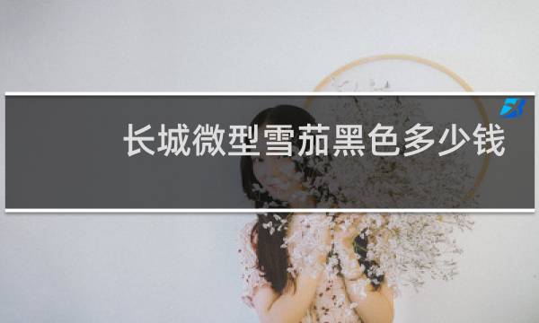 长城微型雪茄黑色多少钱