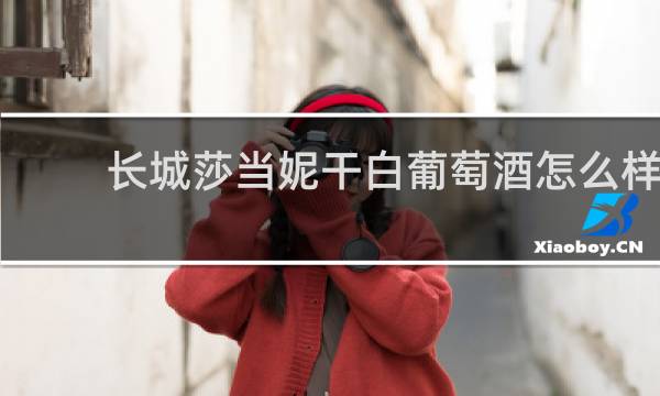 长城莎当妮干白葡萄酒怎么样