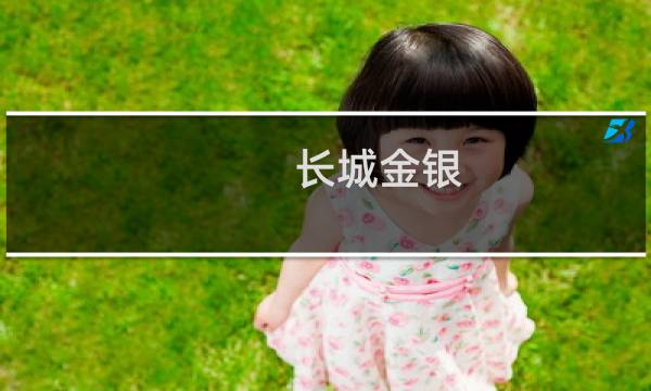 长城金银 价格