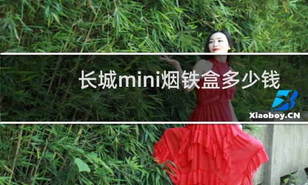 长城mini烟铁盒多少钱