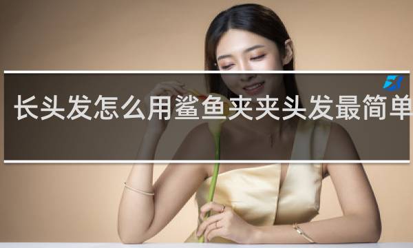 长头发怎么用鲨鱼夹夹头发最简单视频