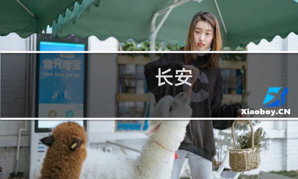 长安 攻略