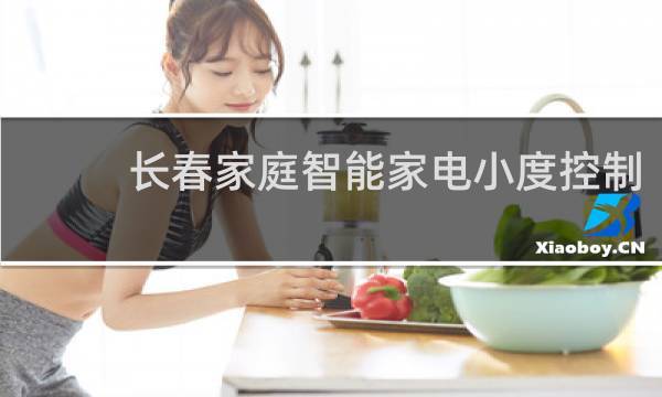 长春家庭智能家电小度控制